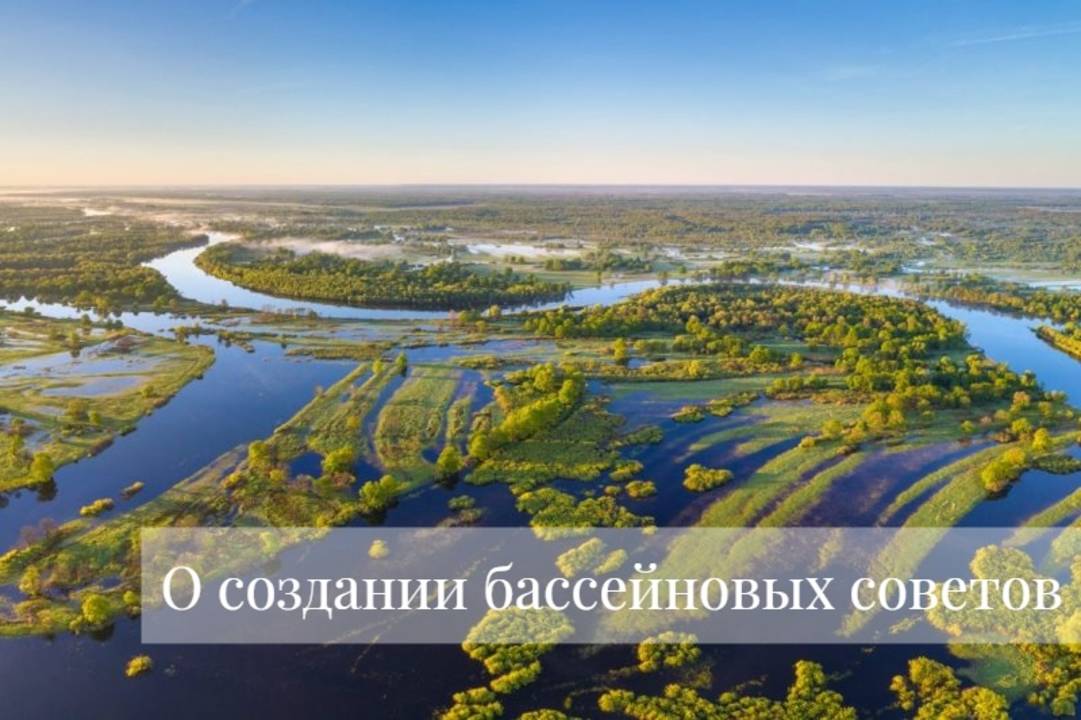 О создании бассейновых советов