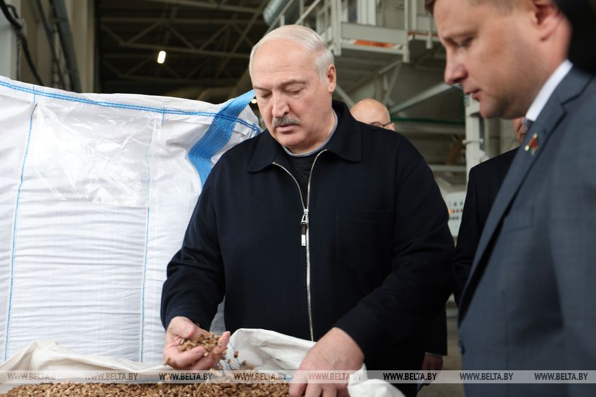 "Это наша перспектива". Лукашенко о производстве пеллет и использовании местных видов топлива