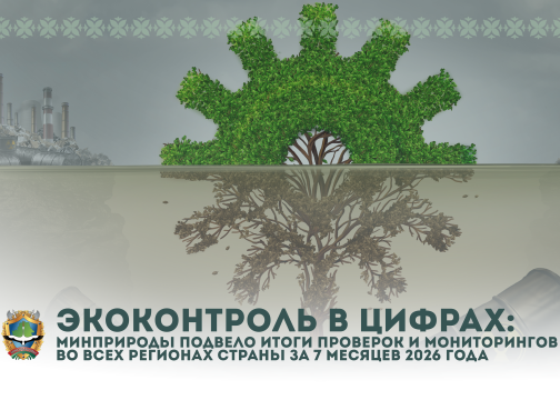 Экоконтроль в цифрах: Минприроды подвело итоги проверок и мониторингов во всех регионах страны за 7 месяцев 2026 года